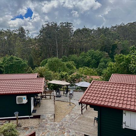 Mimosa Village - Turismo De Natureza Mortagua Bagian luar foto