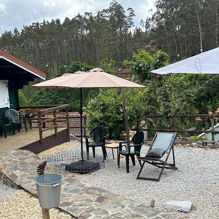 Mimosa Village - Turismo De Natureza Mortagua Bagian luar foto