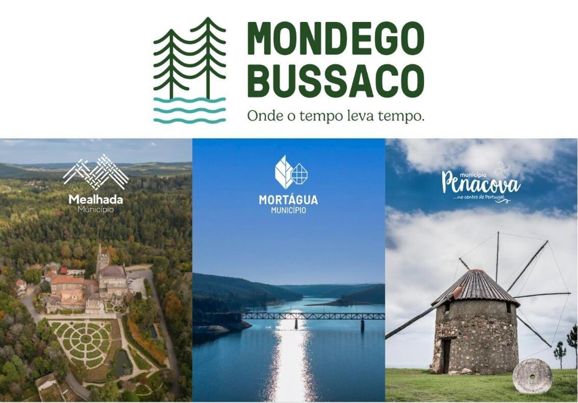 Mimosa Village - Turismo De Natureza Mortagua Bagian luar foto