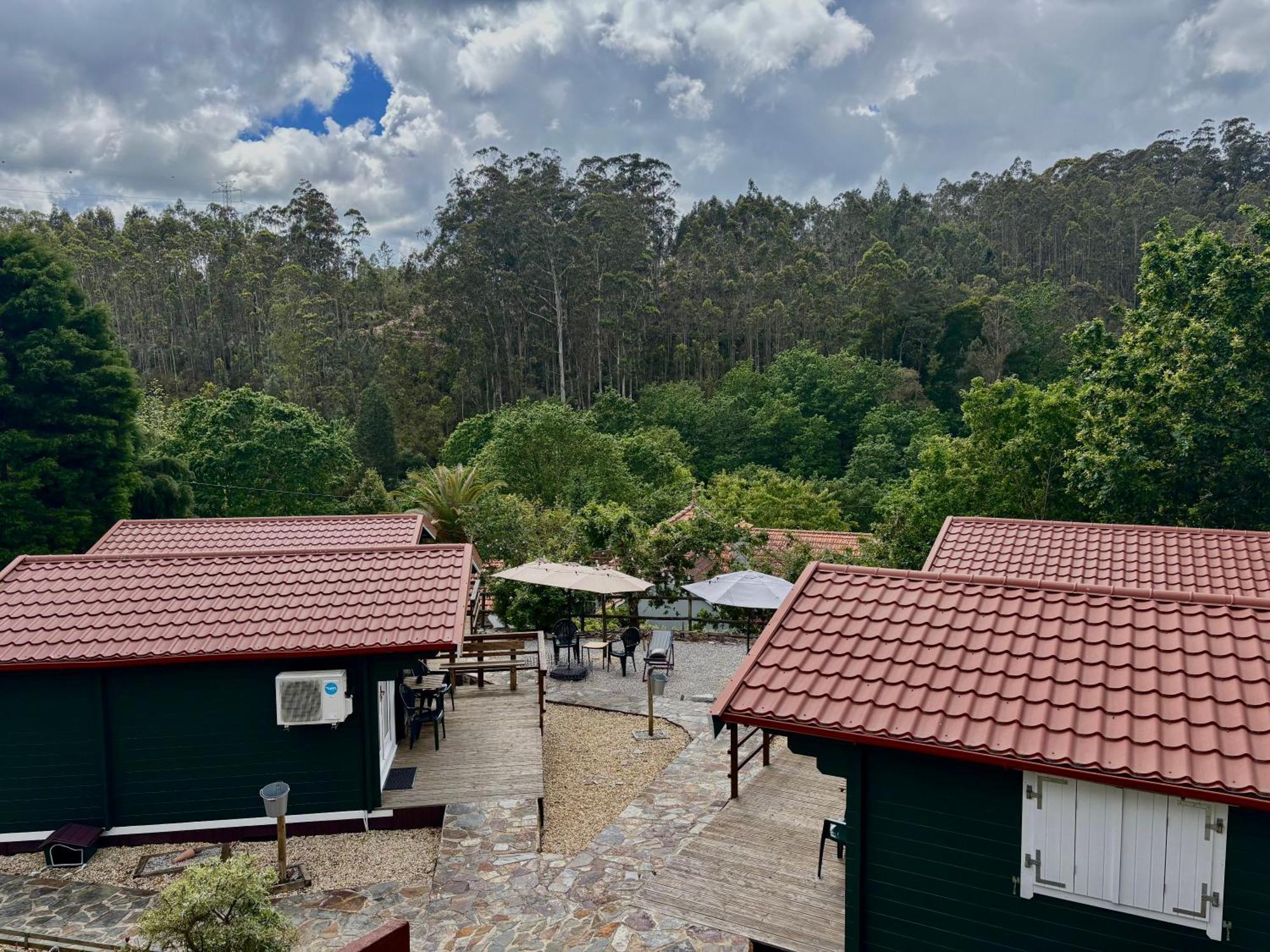 Mimosa Village - Turismo De Natureza Mortagua Bagian luar foto