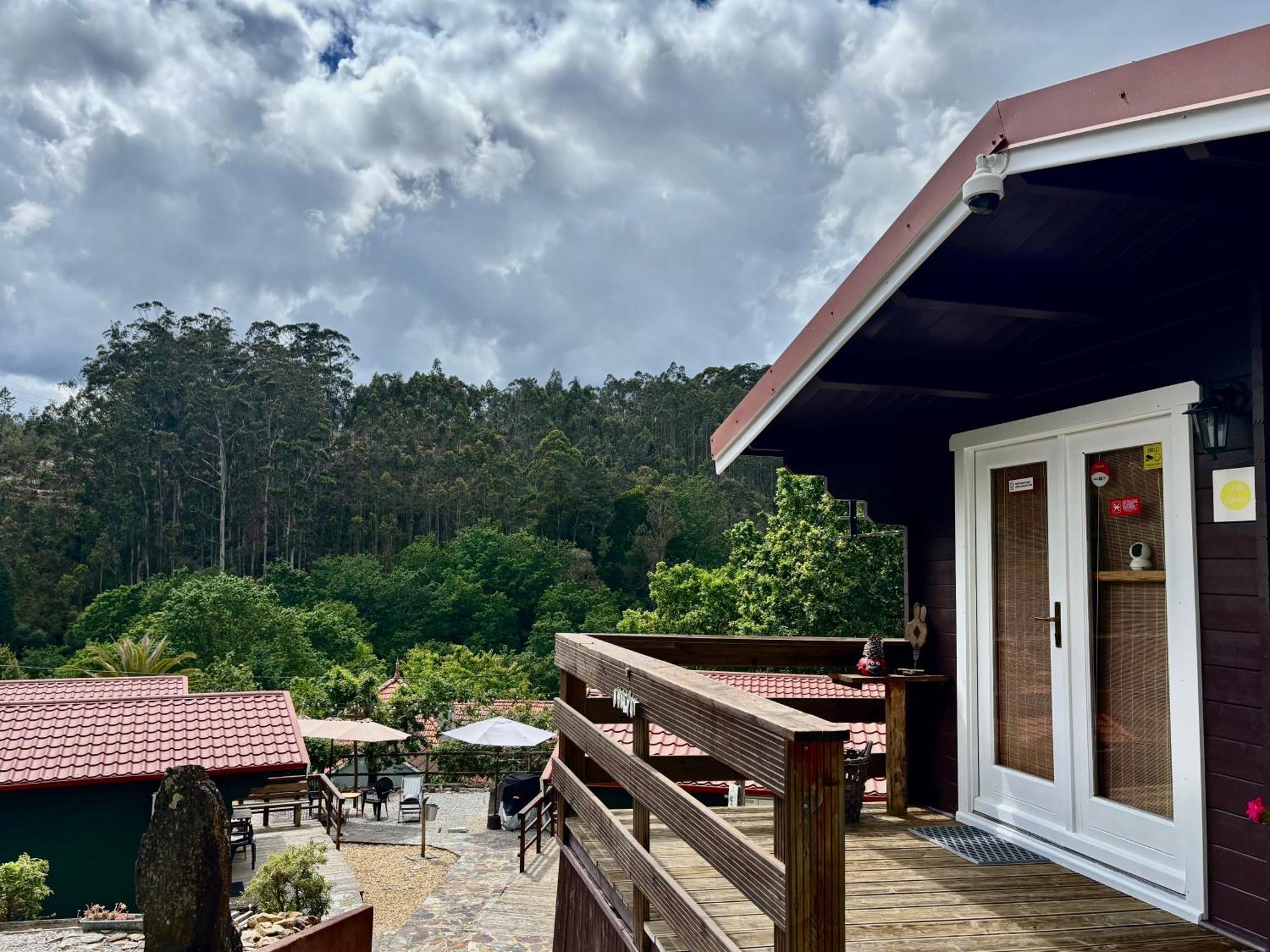 Mimosa Village - Turismo De Natureza Mortagua Bagian luar foto