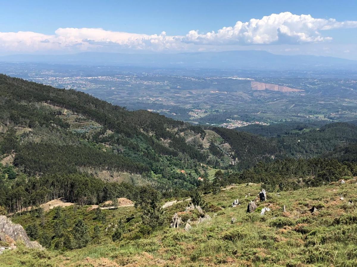 Mimosa Village - Turismo De Natureza Mortagua Bagian luar foto